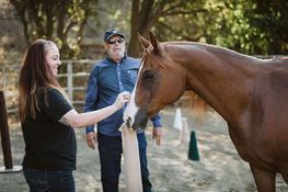 Person feeding a brown horse outdoors while another person stands nearby watching
