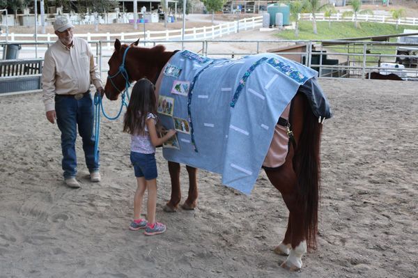 Girl petting a brown horse wearing a blue blanket in a fenced outdoor arena