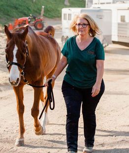 Woman leading a brown horse on a sandy path near white trailers