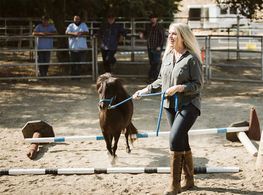 Woman leading a small black goat over jumps in an outdoor training arena