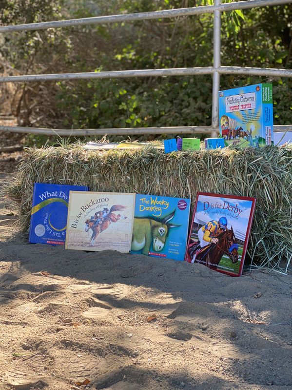 Children’s books displayed on a hay bale outdoors by a fence in daylight