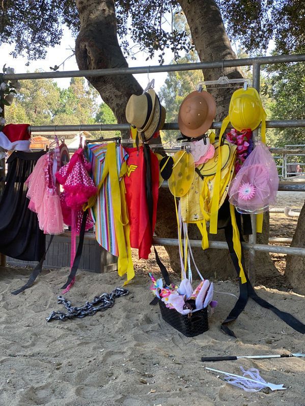 Colorful clothes and hats hanging on a fence by trees in a sandy outdoor area