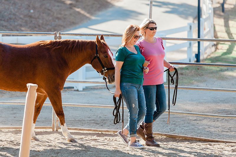 Two women walking a brown horse on a sandy path with ropes in a fenced outdoor area