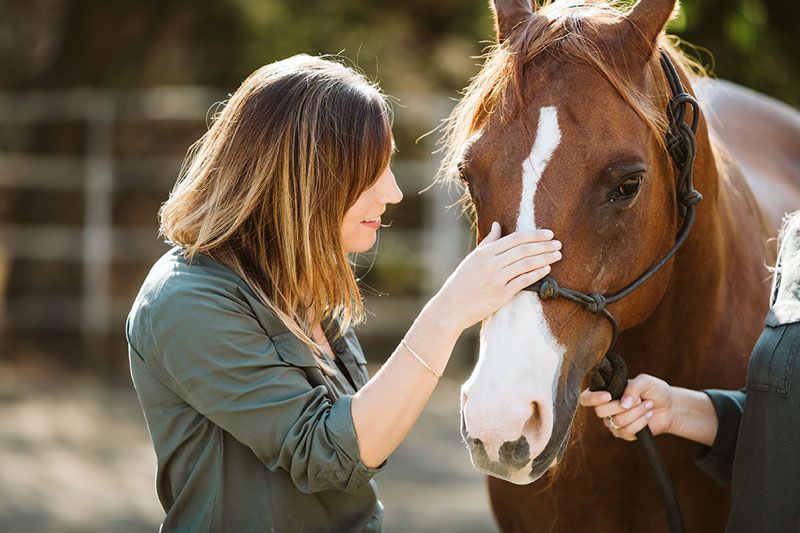 Woman gently strokes a brown horse’s face outdoors while another hand holds the bridle.