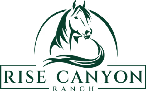 Rise Canyon Ranch logo with a green horse head in a circle and the name beneath