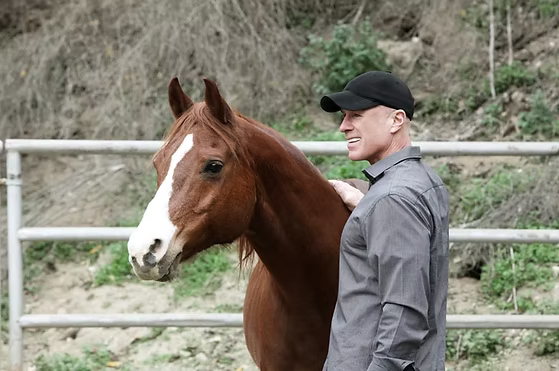 Man in a black cap stands beside a brown horse with a white blaze by a fence outdoors