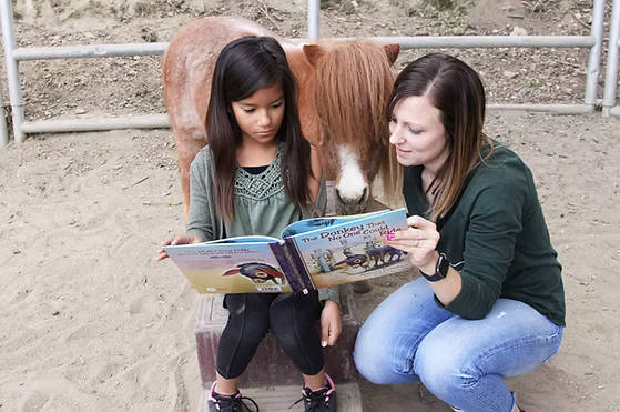 Girl and woman read a book beside a small pony in a fenced sandy pen