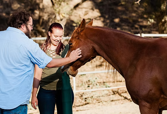 Two people pet a brown horse beside a fence in a sunny outdoor setting