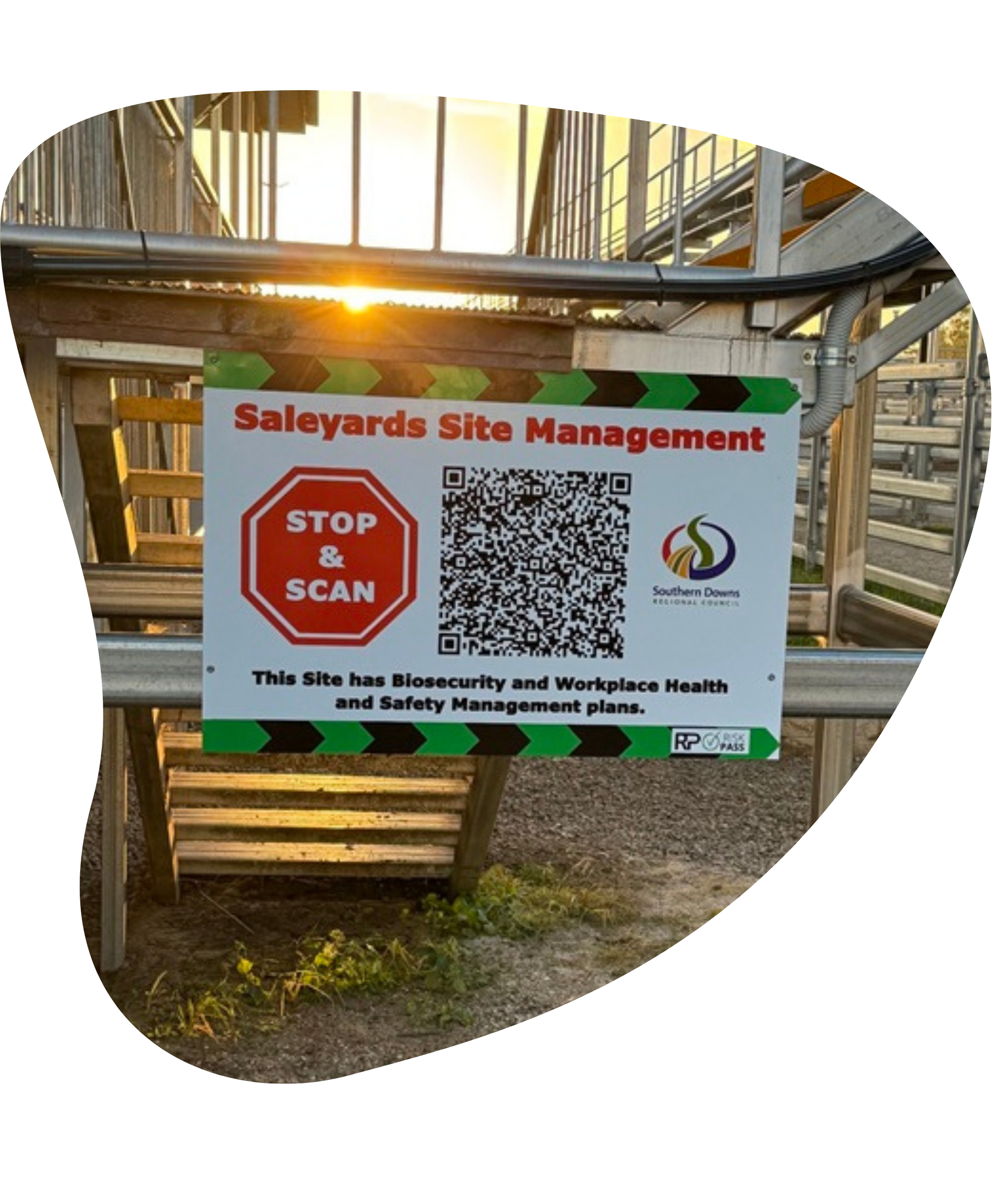 QR SCAN SIGN