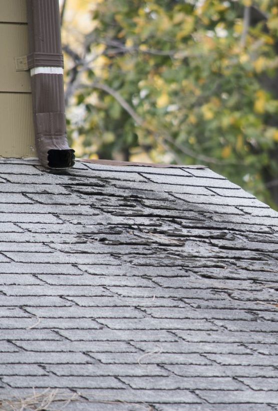 A close up of a roof with a drainpipe on it.
