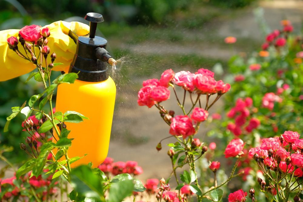 Spraying On The Flower — Howell Township, MO — West Plains Termite & Pest Control