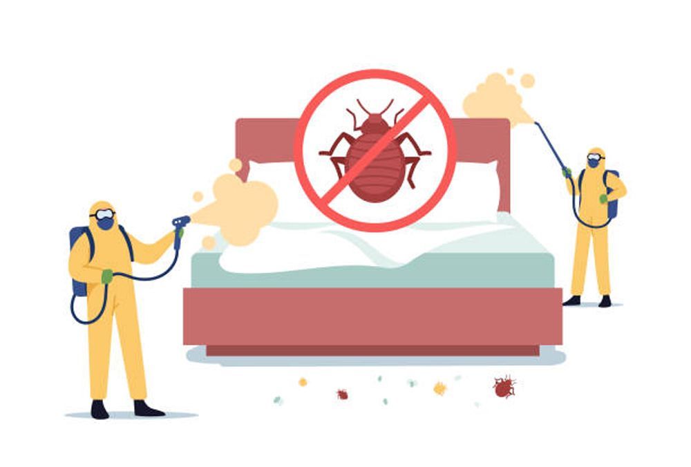Bedbugs Removal — Howell Township, MO — West Plains Termite & Pest Control