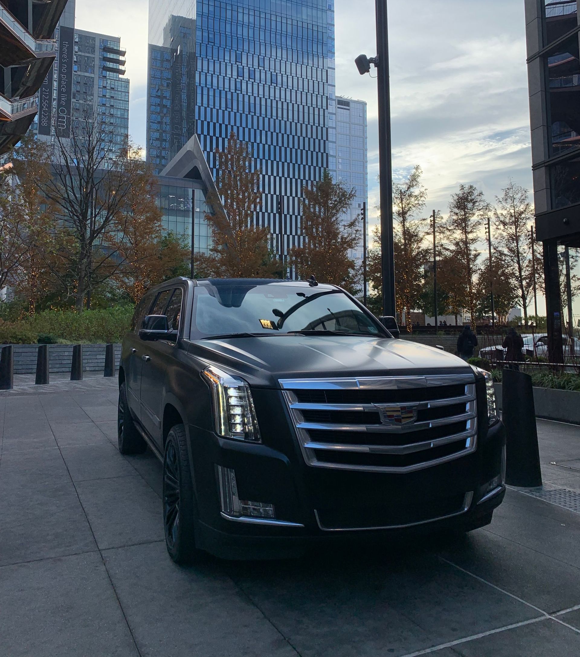 Driver helping VIP woman or star out of limo on red carpet to a reception