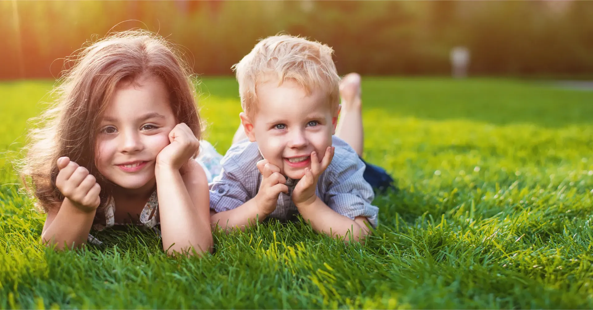 Lawn installation services by Urban Renovations