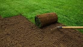 sod and turf installation appleton
