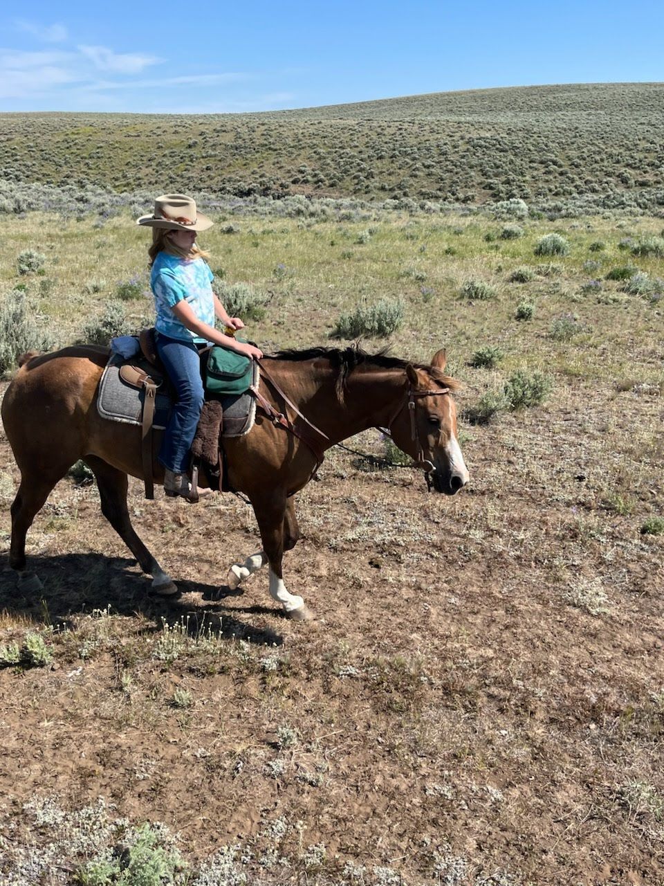 A woman is riding a horse in a field.