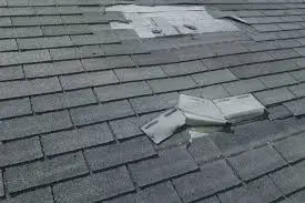 Two areas of damaged gray asphalt shingles on a roof with white, peeling patches of material.