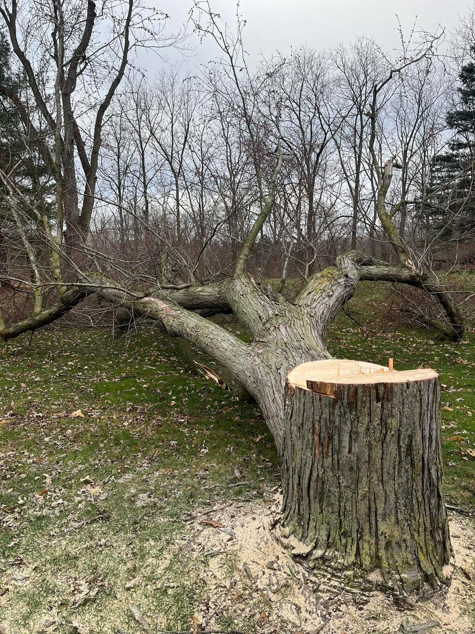 Nate's Outdoor Service has provided tree and landscaping services for Livonia, MI