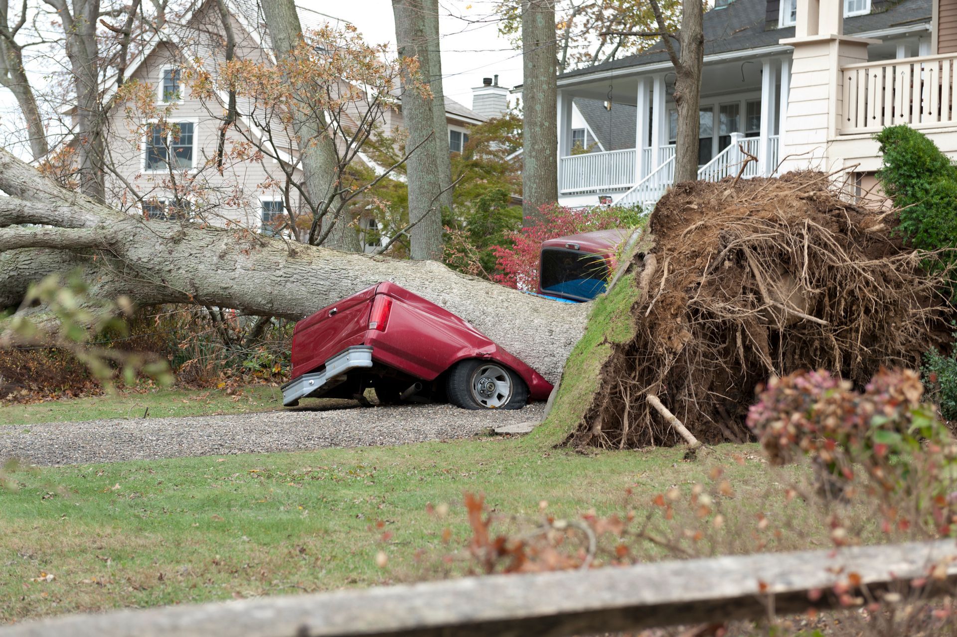 Landscaping — Livonia, MI — Nate's Family Tree Service