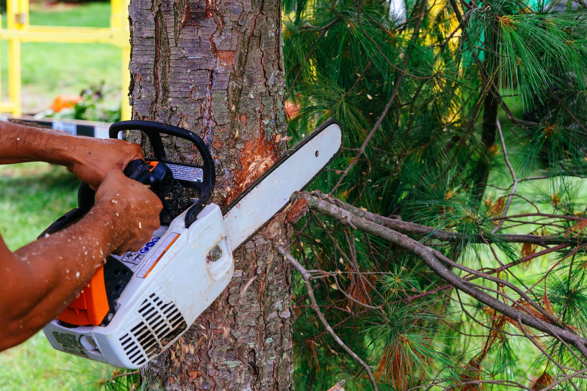 Tree Trimming — Livonia, MI — Nate's Family Tree Service