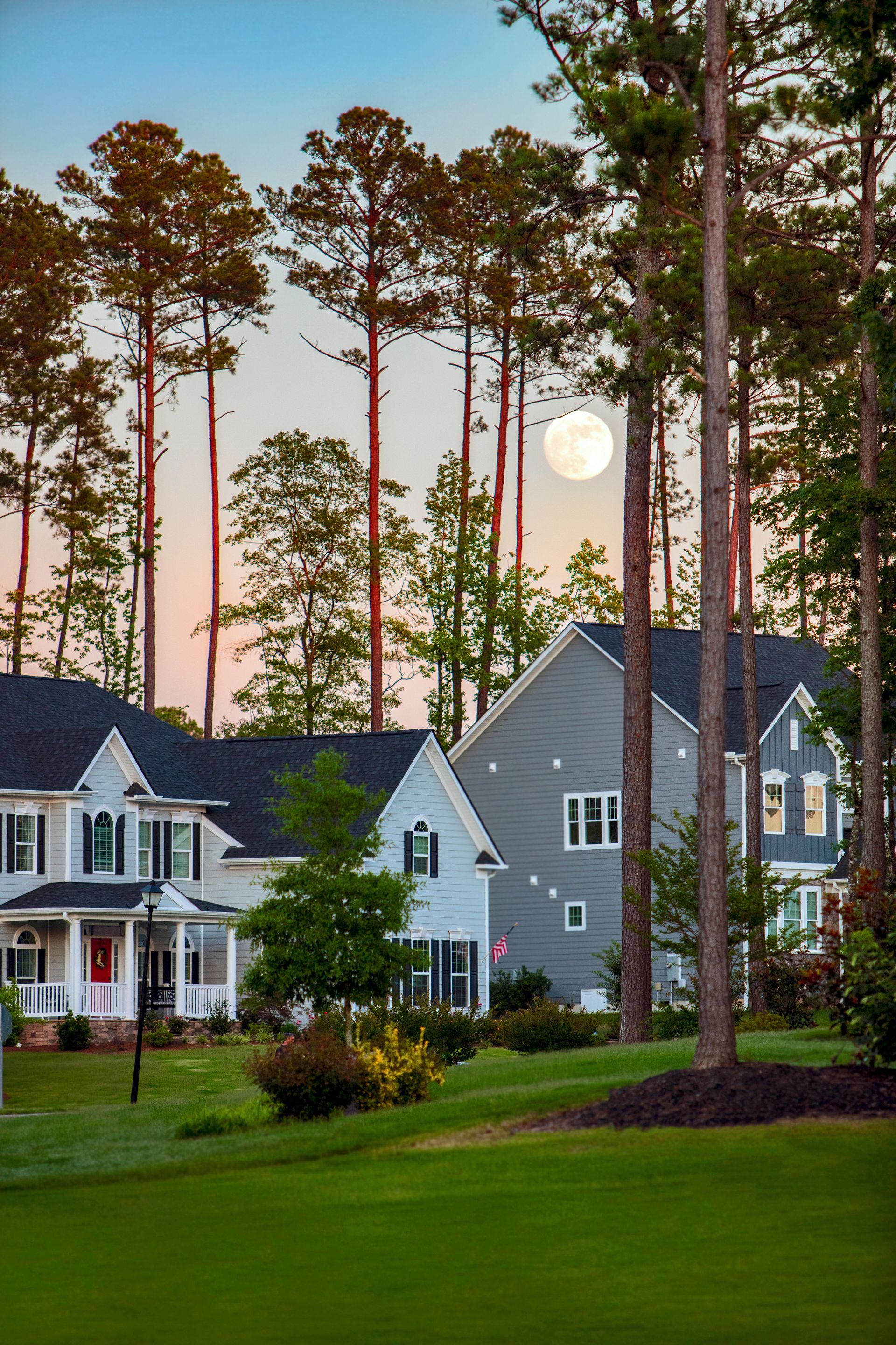 Houses framed by tall trees, full moon in sky, grassy lawn. Houses framed by tall trees, full moon in sky, grassy lawn.
