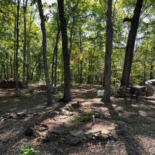 A wooded backyard with a circular stone garden bed in the foreground, surrounded by tall trees and dappled sunlight.
