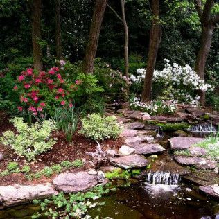 A small rocky stream flows into a pond in a shaded garden with vibrant pink and white flowering bushes.