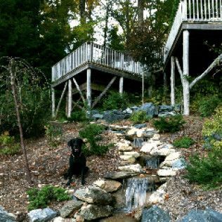 A black dog sits on a mulched hill next to a small stone waterfall, with raised wooden decks visible in the background.