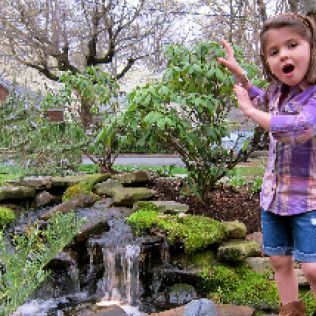 A person in a purple plaid shirt gestures toward a small backyard waterfall surrounded by mossy rocks and green shrubs.