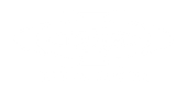 F.I.A.T. S.R.L. A ROMA