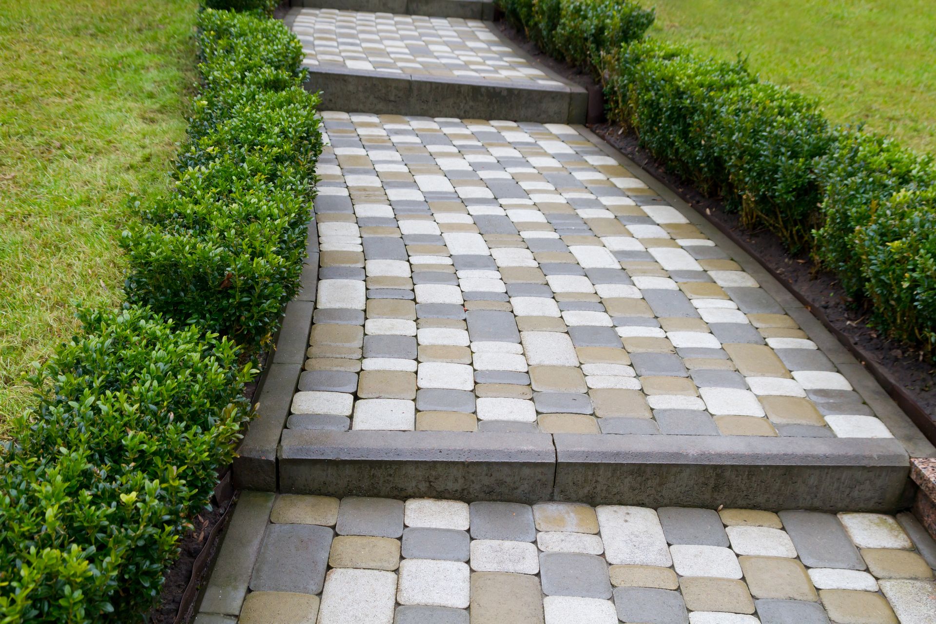 Stone path with steps and alternating colored square pavers, bordered by green hedges.