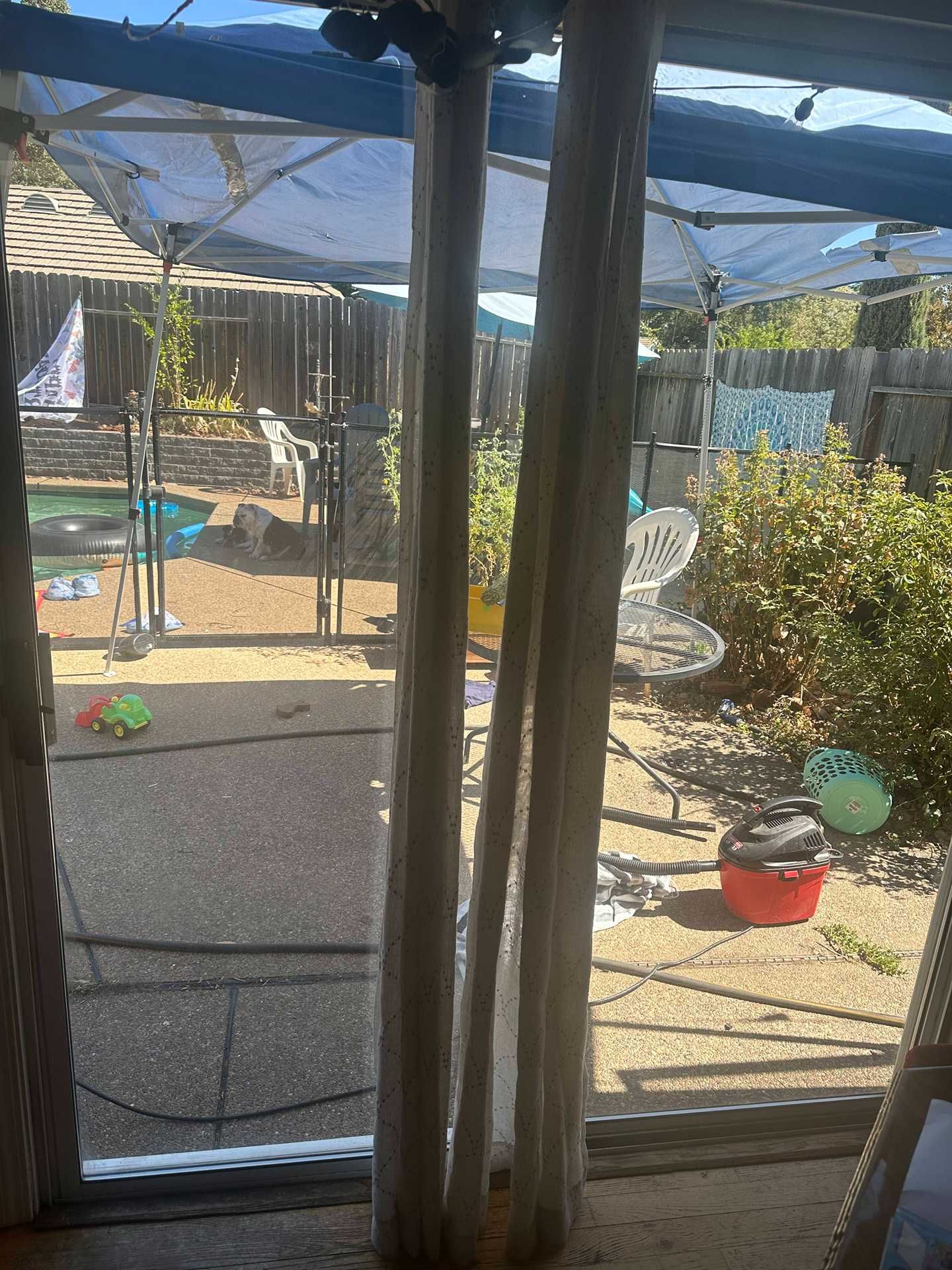 Backyard patio seen through a window, with a shaded canopy, chairs, and potted plants.
