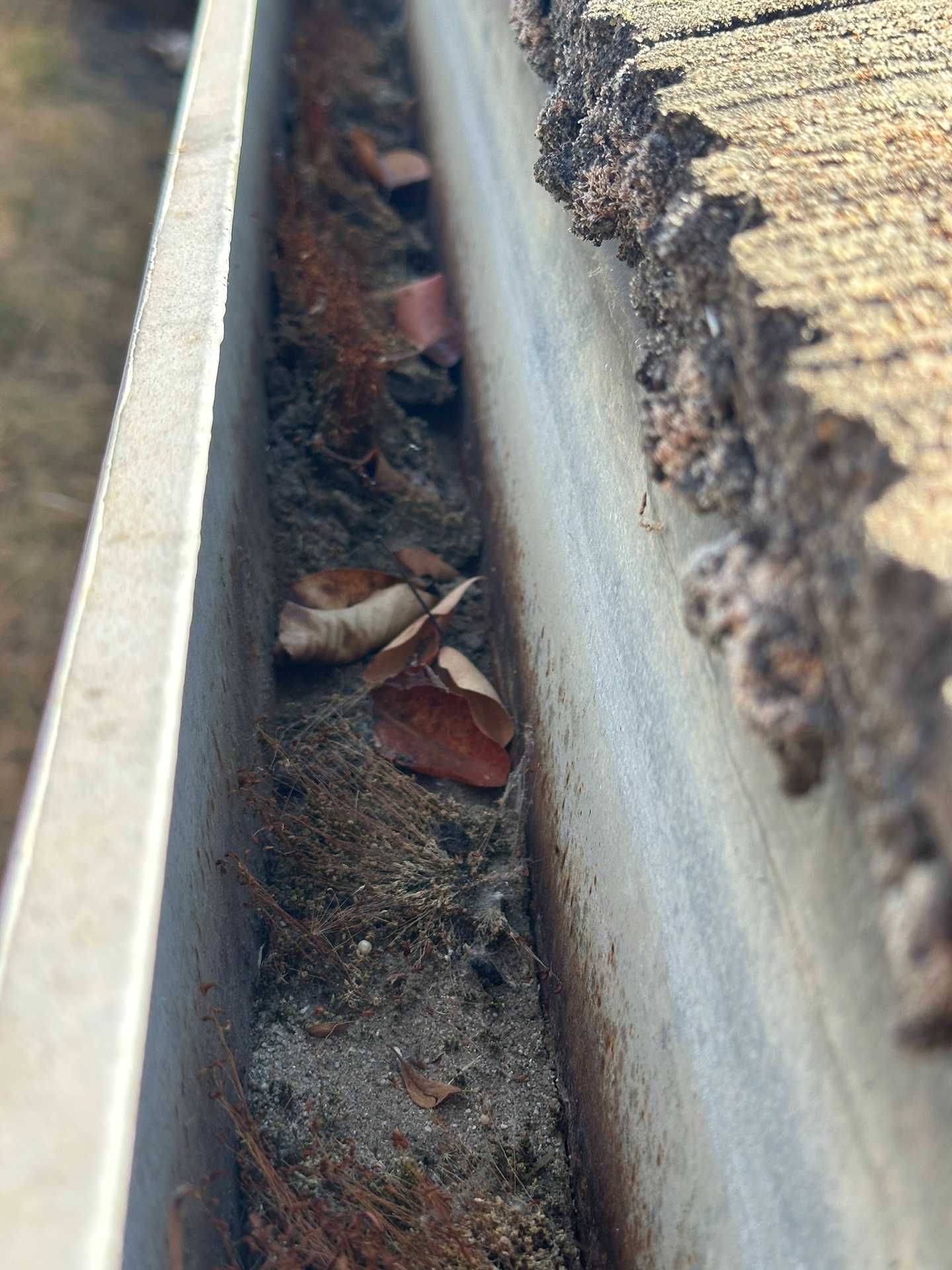 Close-up of a roof gutter filled with dirt, leaves, and debris beside a rough shingle edge
