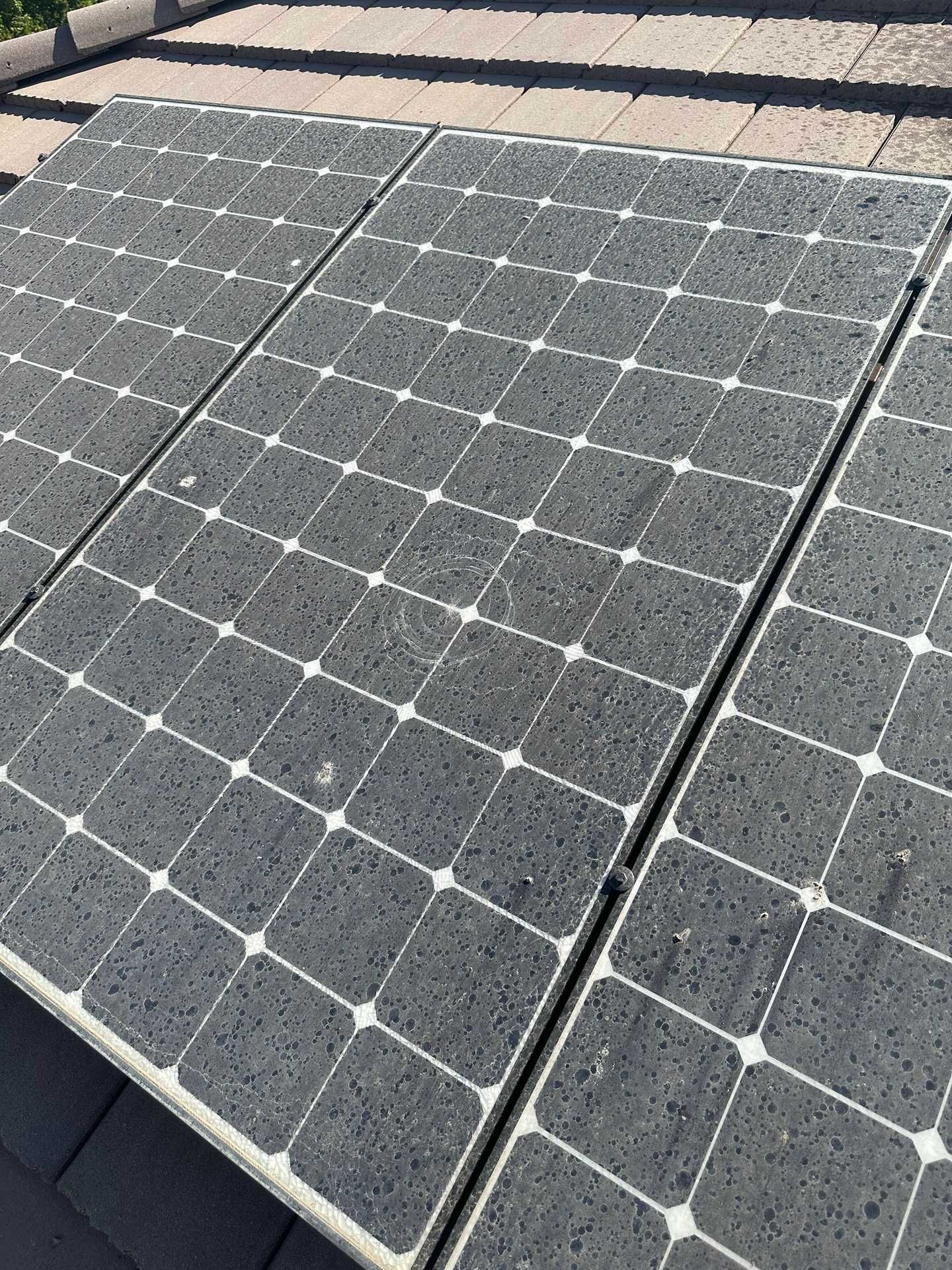 Solar panels on a shingled roof, viewed close up in bright sunlight.