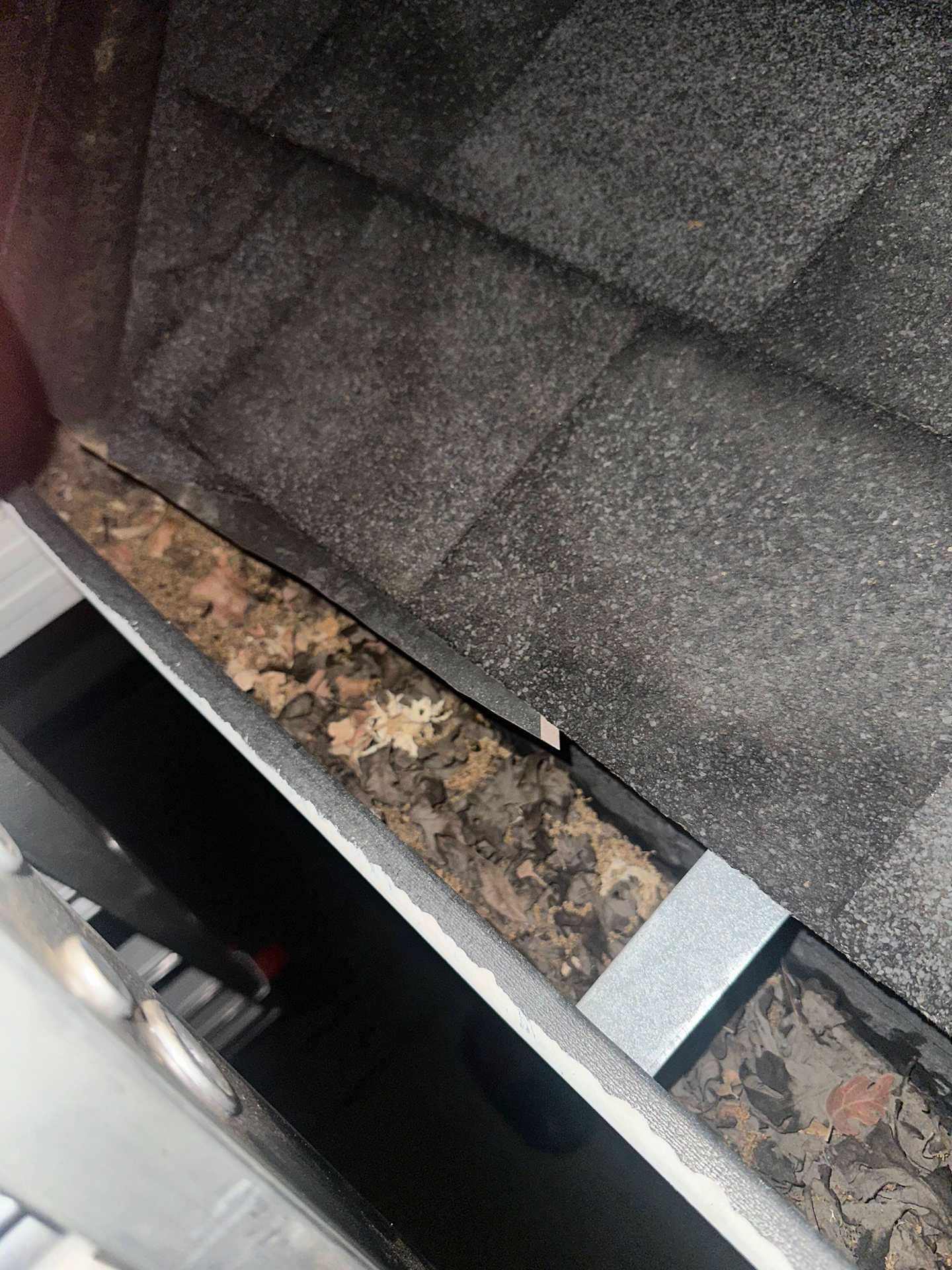 Close-up of gray roof shingles and rusted gutter edge above a dark opening
