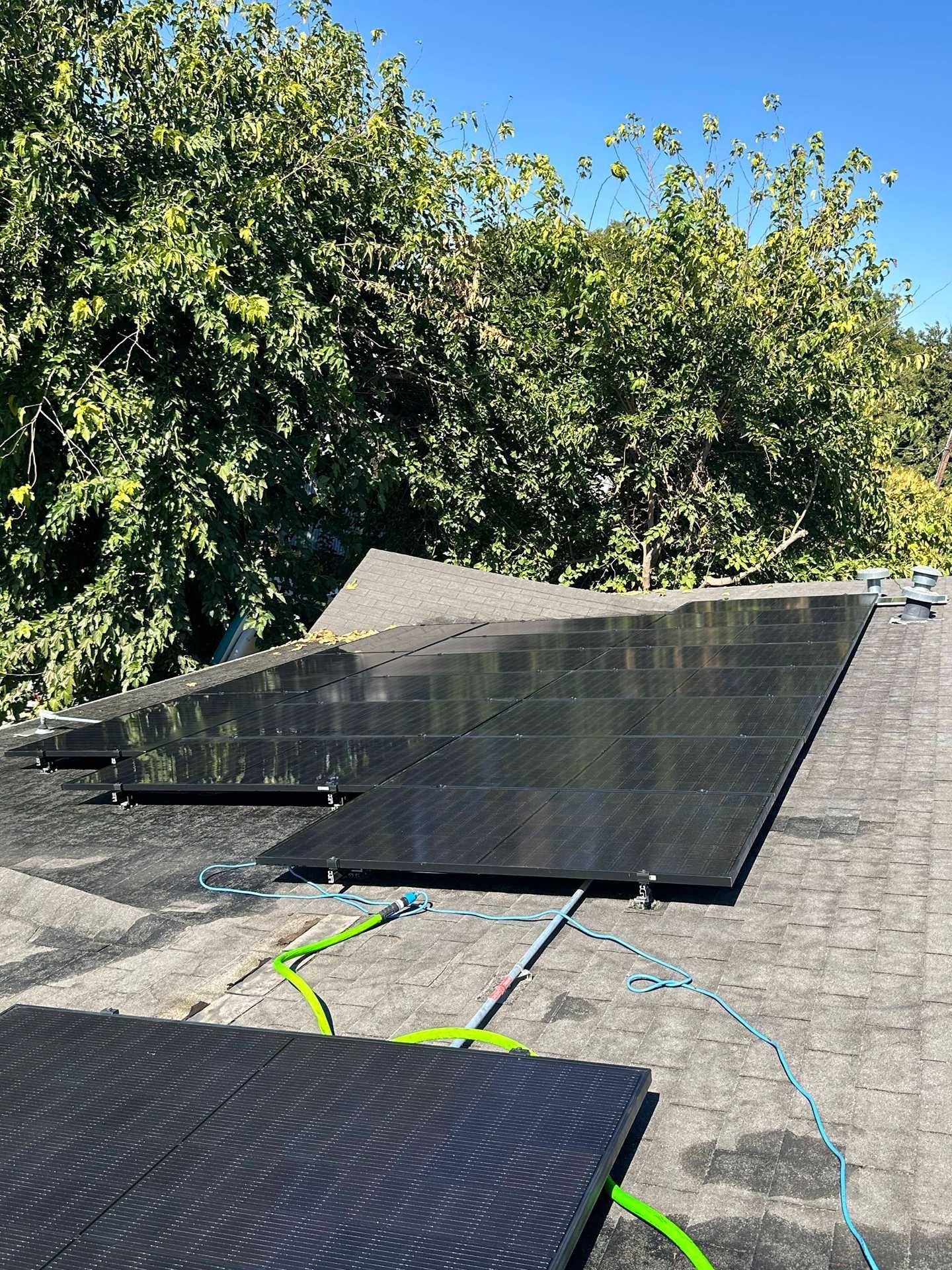 Solar panels mounted on a roof beneath leafy trees under a clear blue sky
