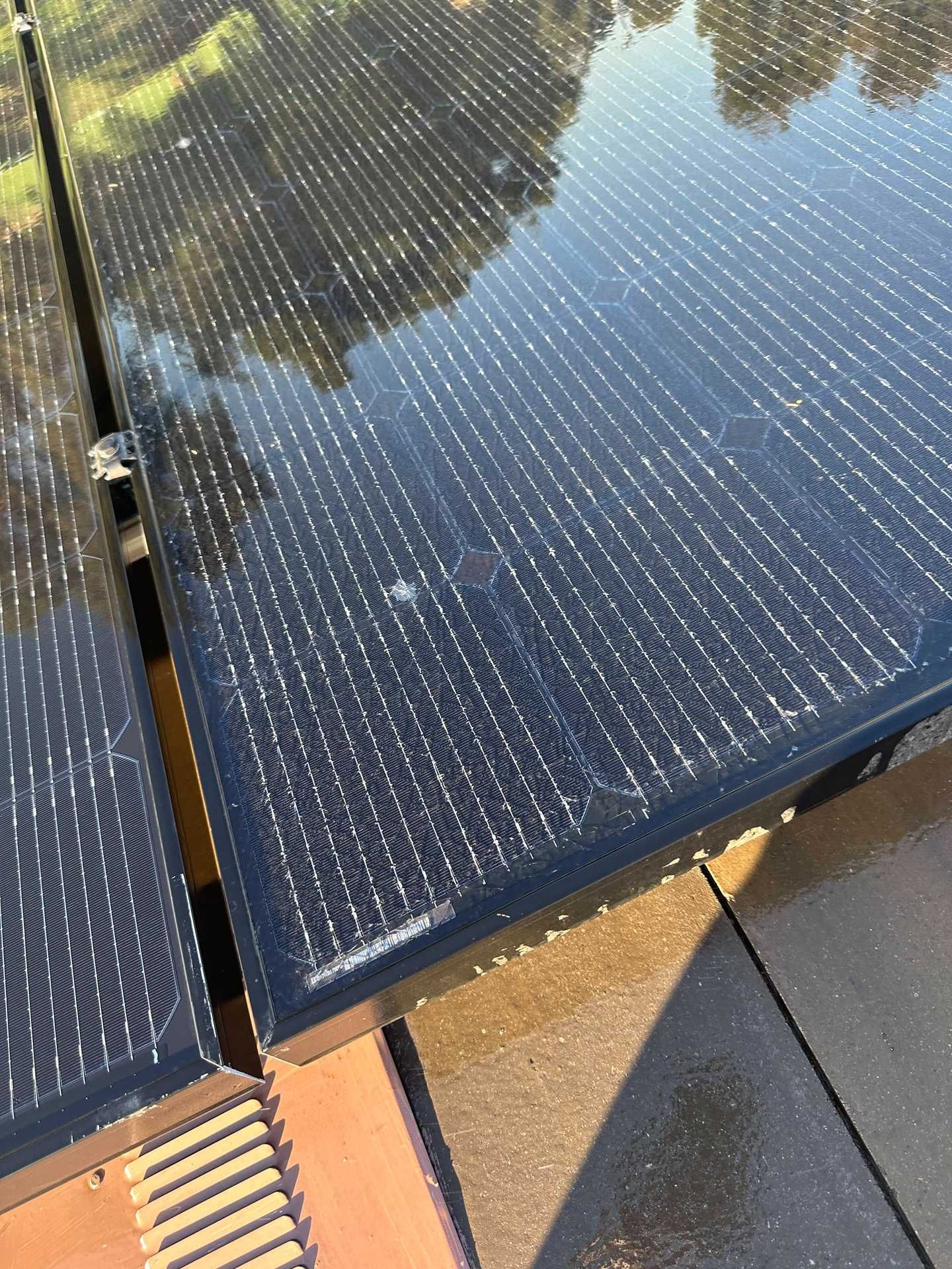 Close-up of dark solar panels with reflections of trees and sky, laid side by side outdoors.