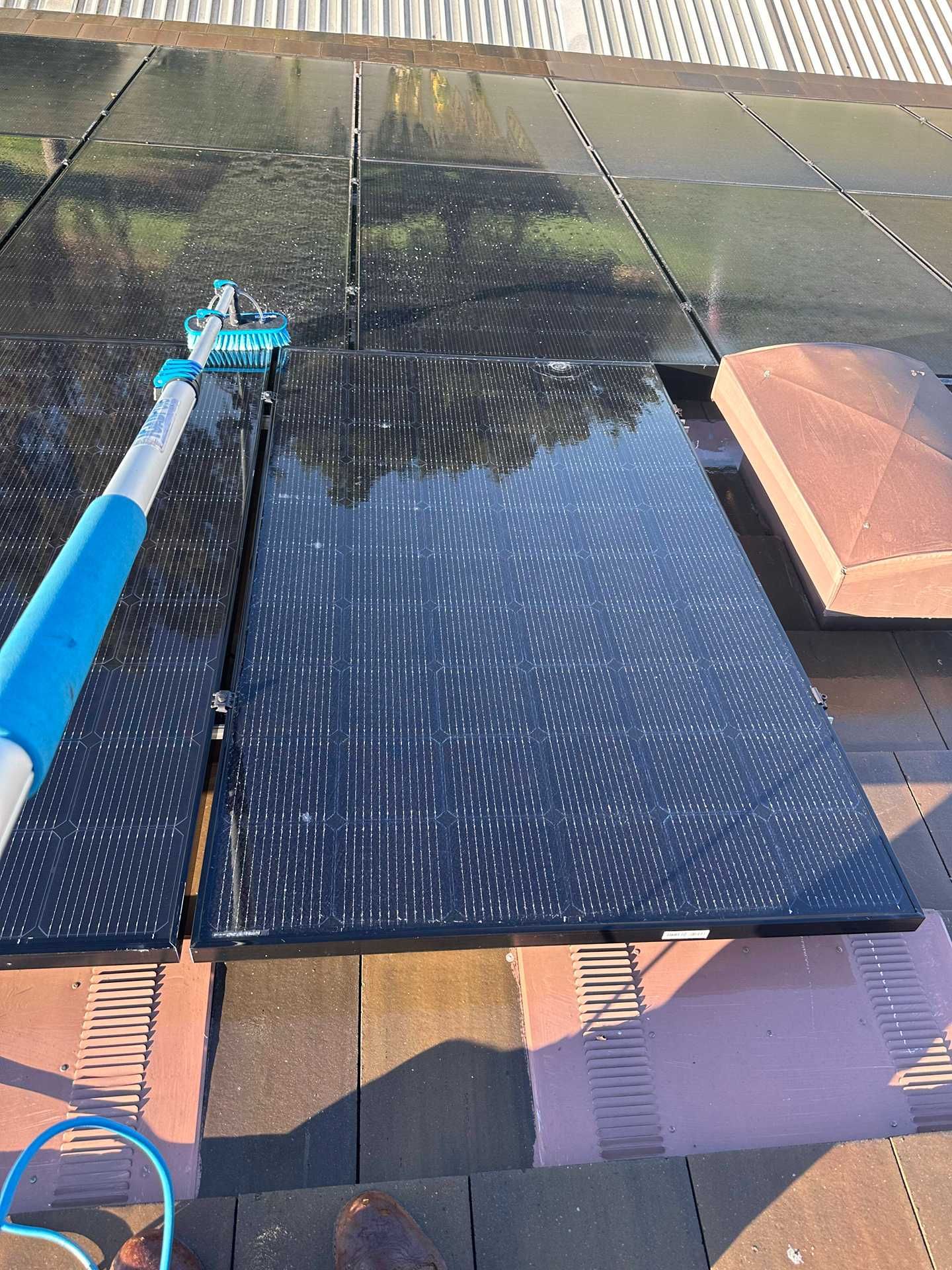 Blue pool brush cleaning a dark wet solar panel on a roof, with water reflecting sunlight.