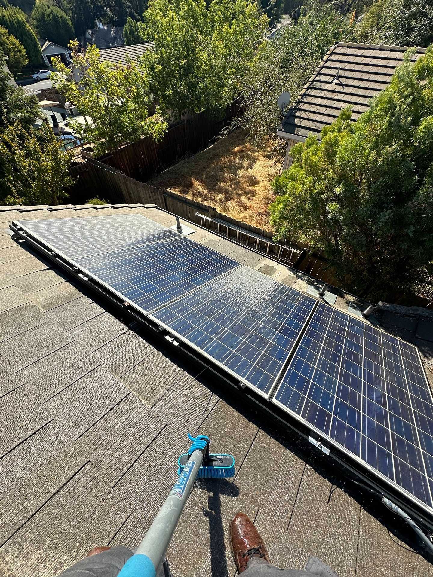 Solar panels on a rooftop amid trees and hillside, with a cleaning pole in the foreground.