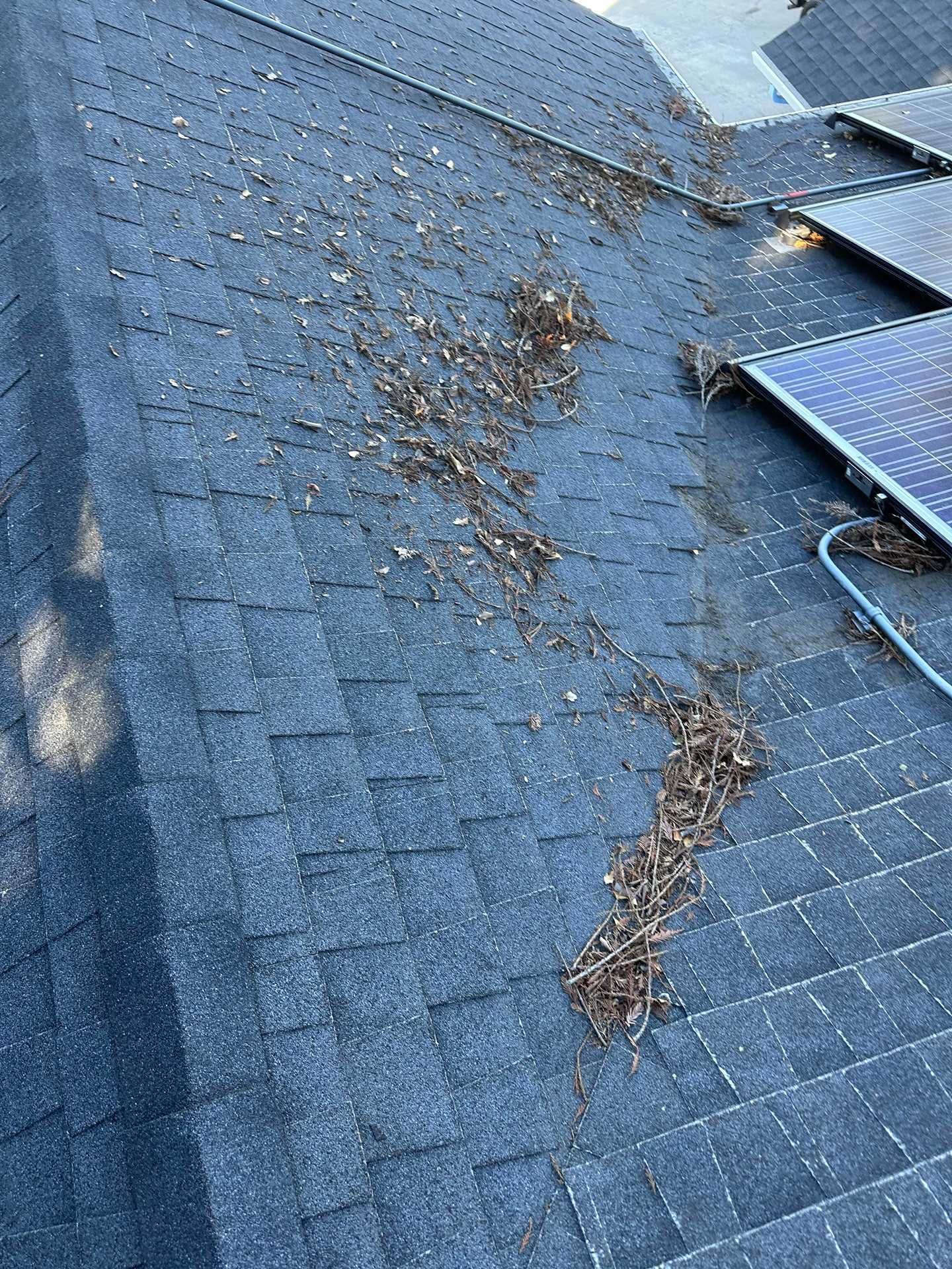 Roof shingles with scattered debris near solar panels and a dark roof valley