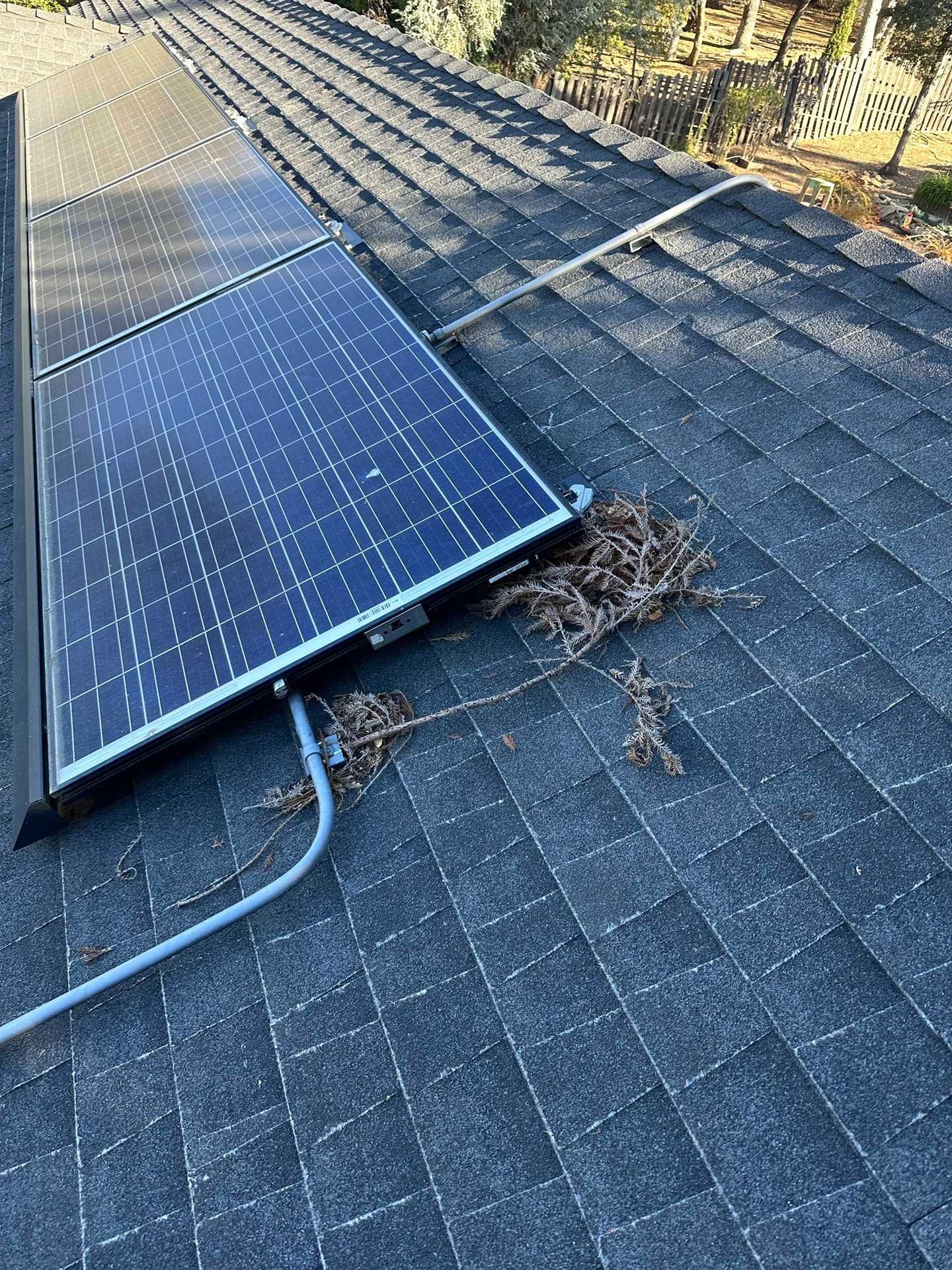 Solar panel mounted on a shingled roof, with cable running across the rooftop.