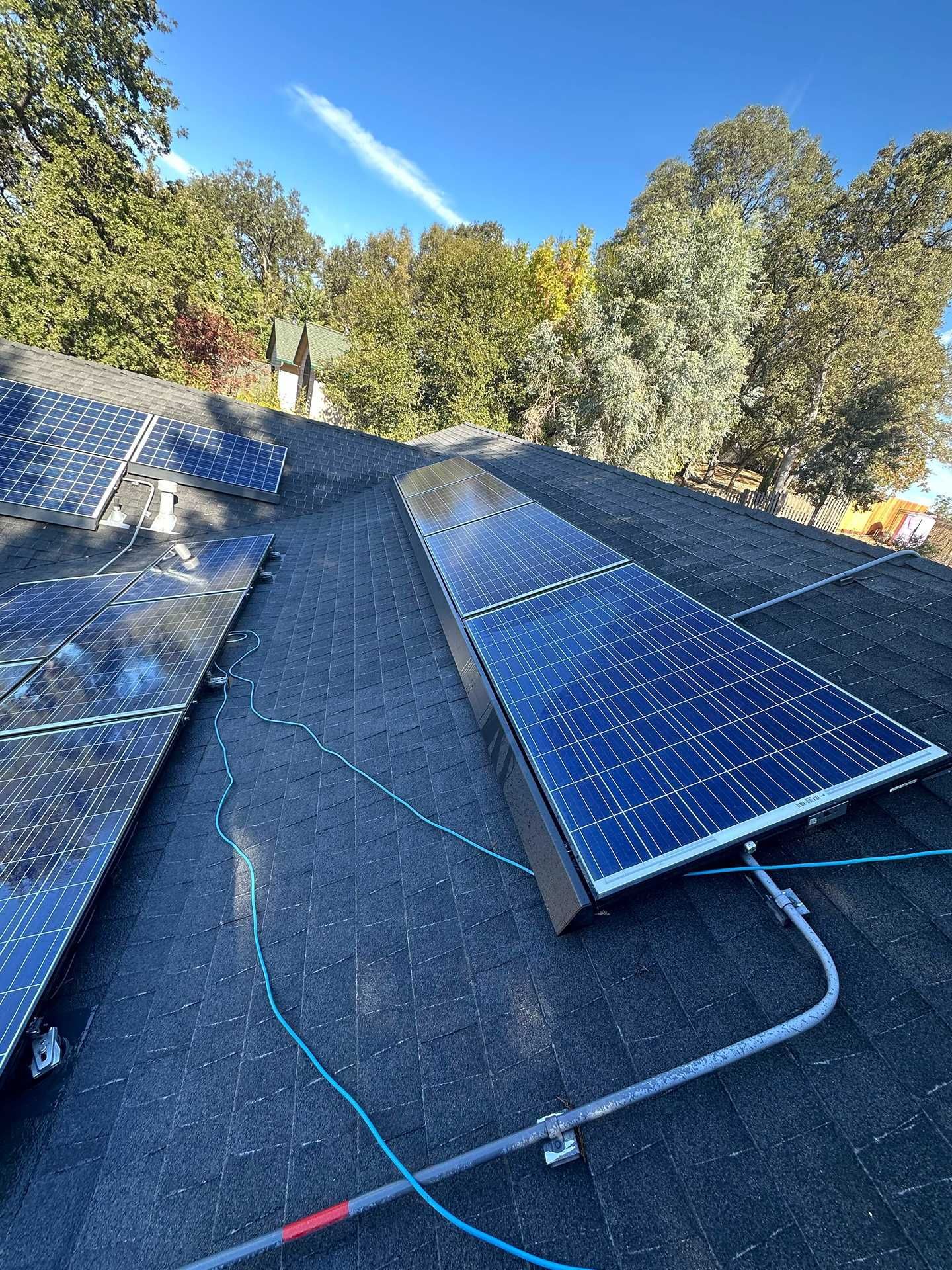 Solar panels mounted on a sloped rooftop beside trees and a blue sky