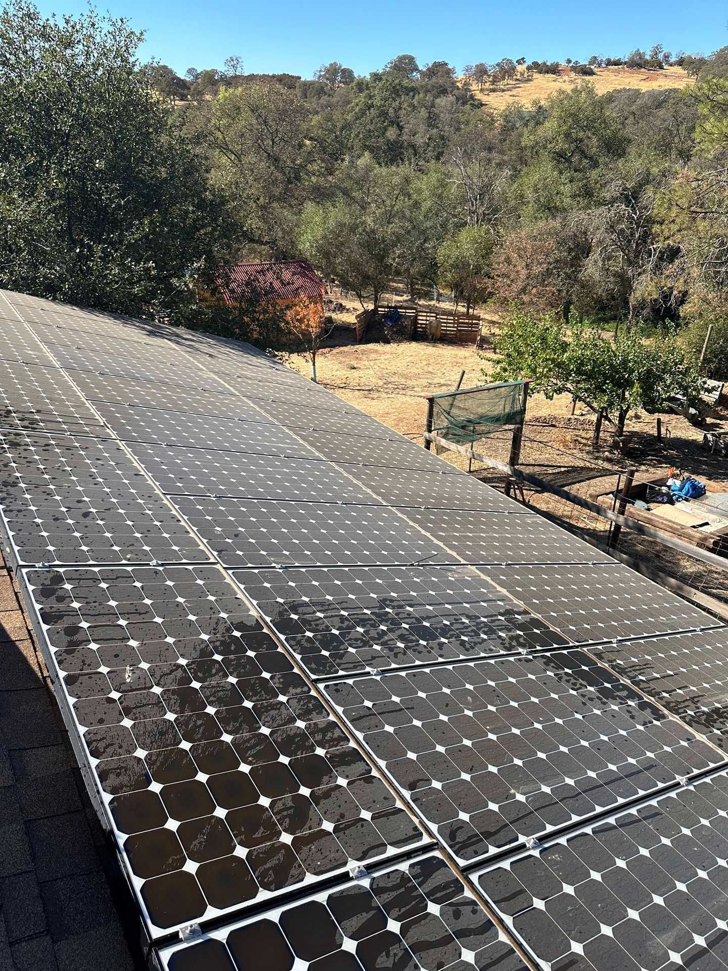 Solar panels covering a sloped rooftop beside dry trees and a fenced yard under clear daylight