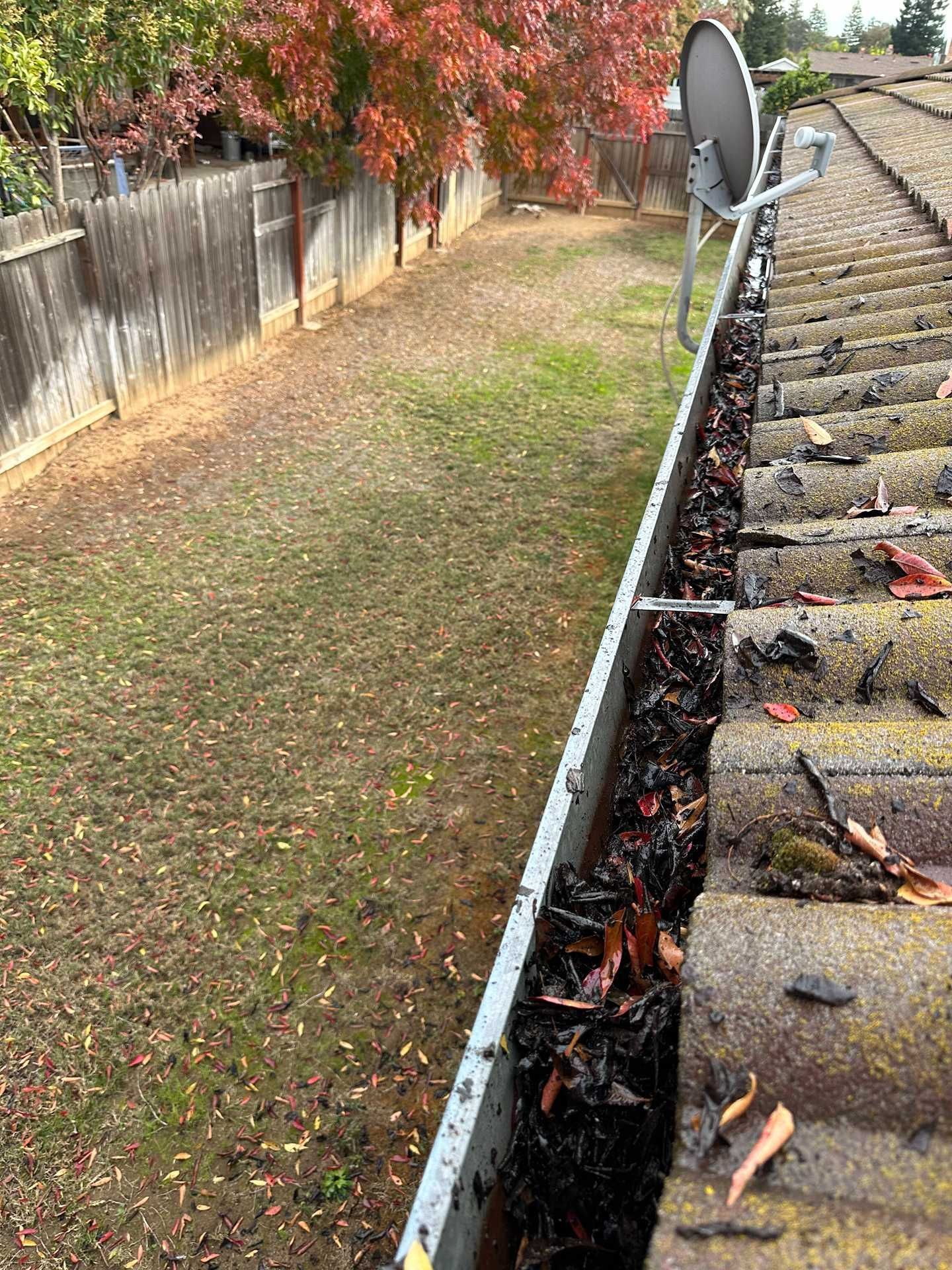 Backyard gutter full of leaves beside a sloped shingle roof and fence with autumn trees.