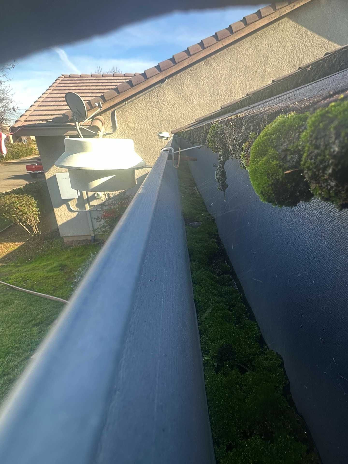 Tilted rooftop view of a house gutter, roofline, and sunlit yard with hedges and a tree.