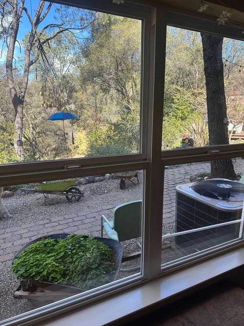 View through a window to a wooded backyard with a patio table, grill, and hanging bird feeder.