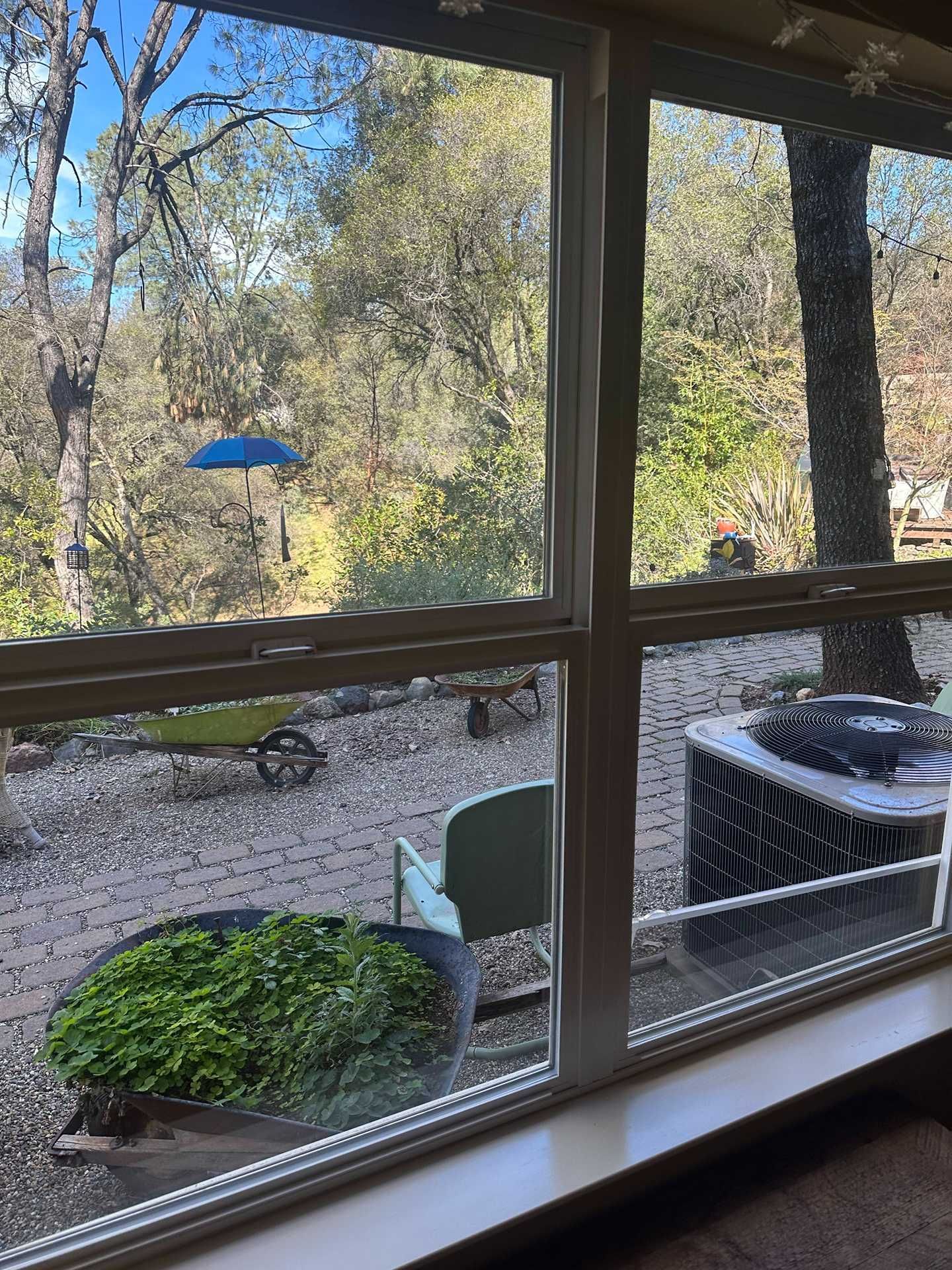 View through a window of a sunny backyard with trees, patio chairs, grill, and birdbath
