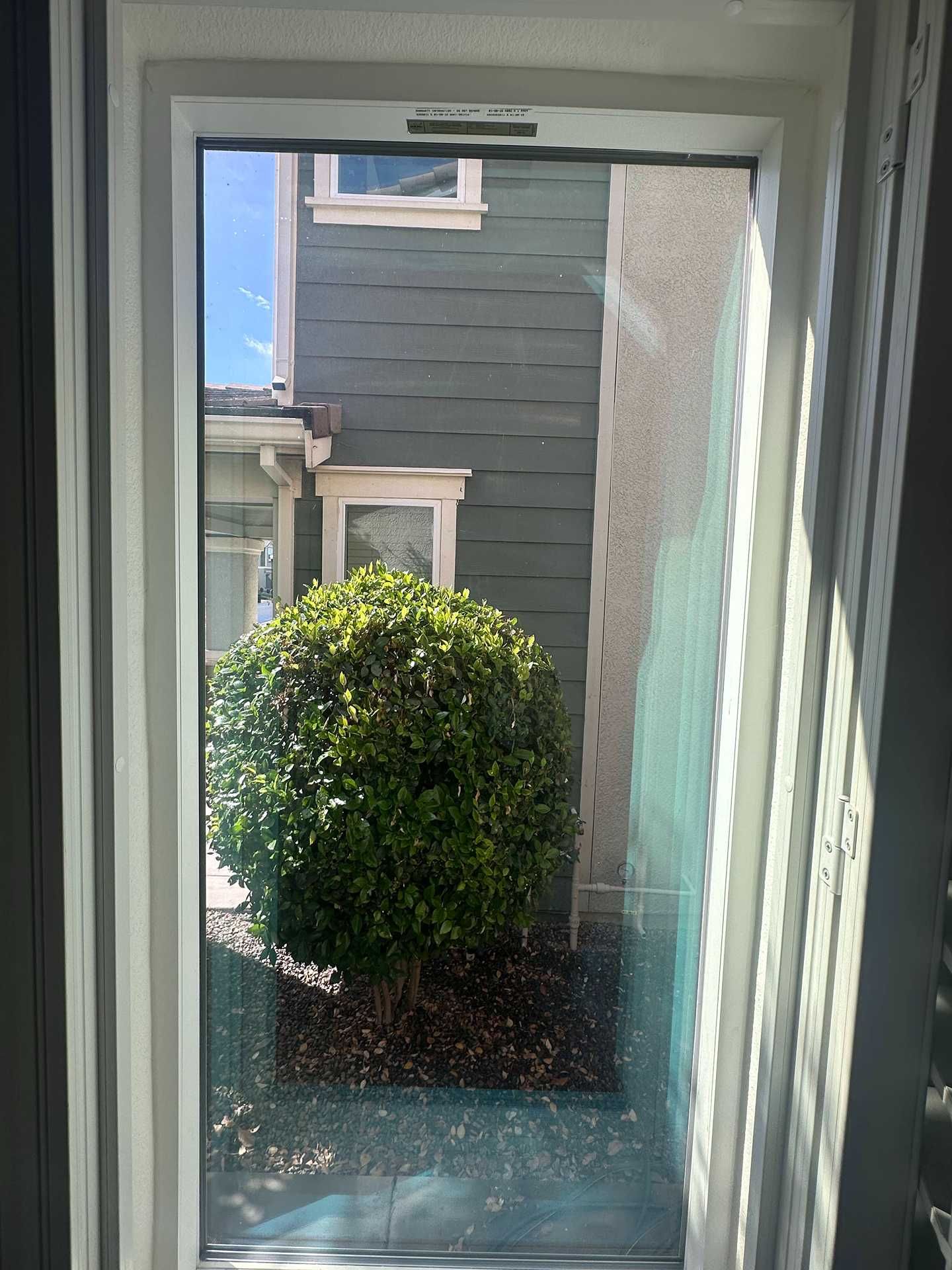 View through a window to a gray house wall and a round green shrub outside