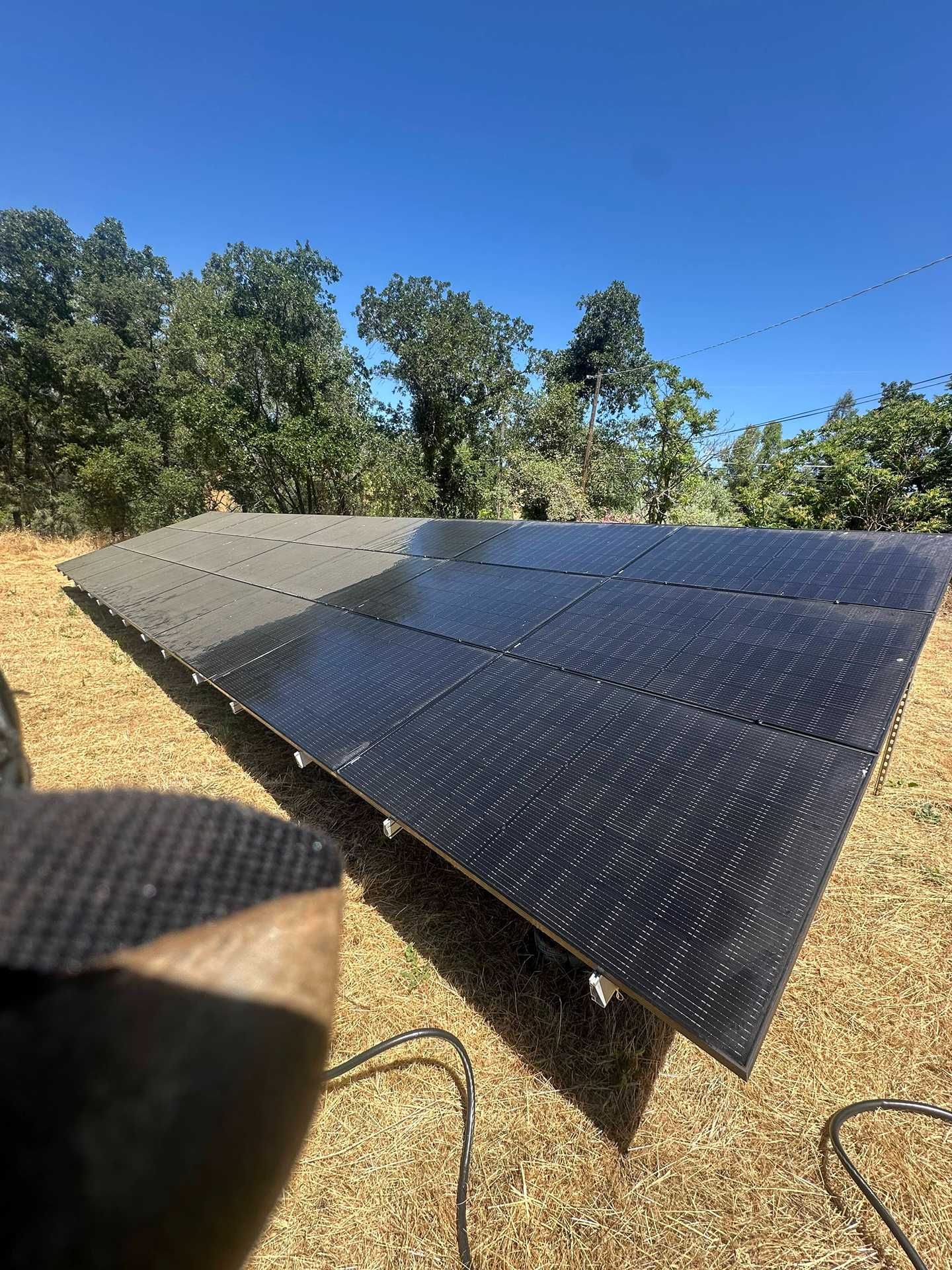 Black solar panels installed on a sunny hillside with trees in the background