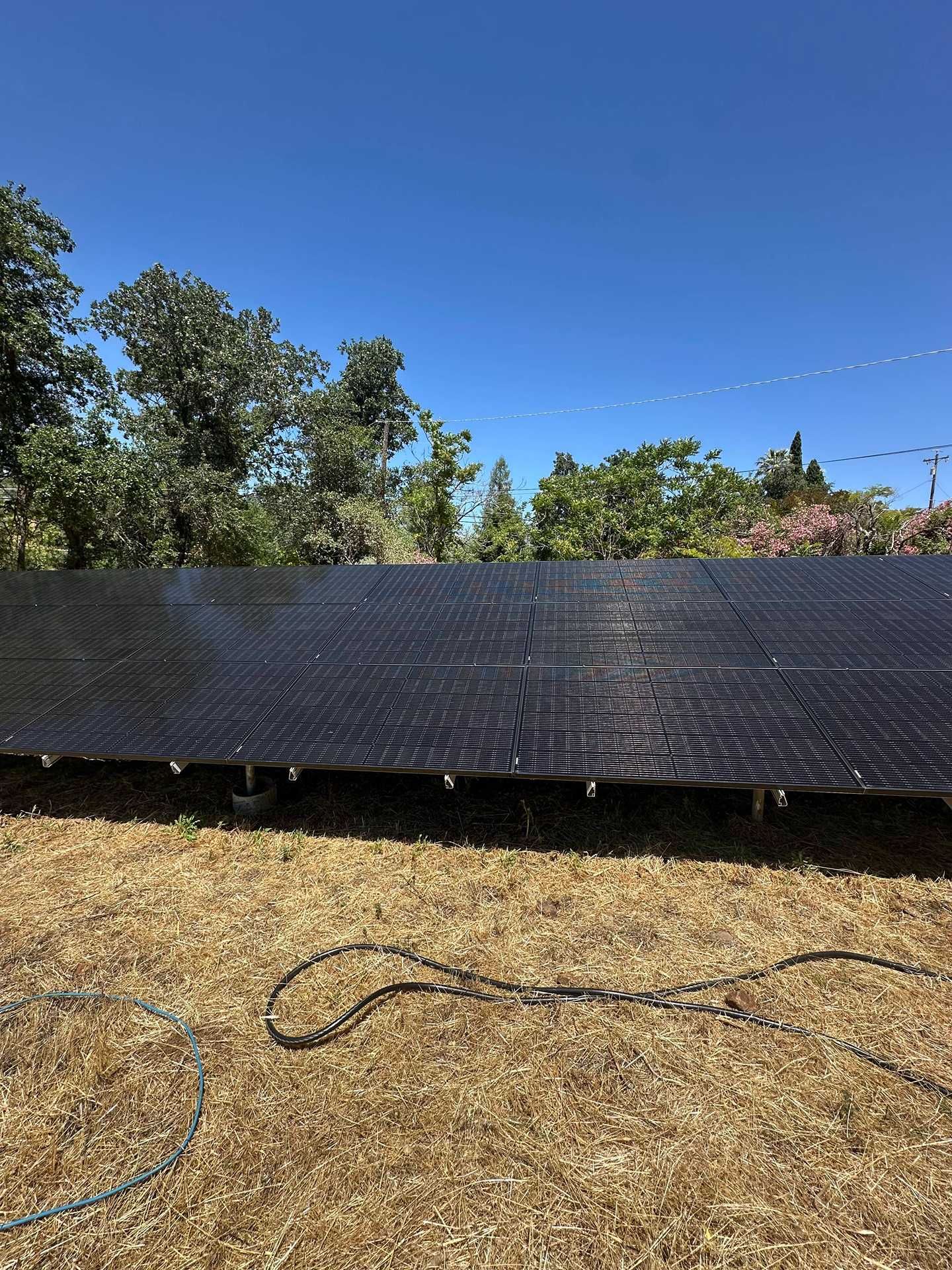Black solar panels on a dry grassy field under a blue sky, with trees in the background